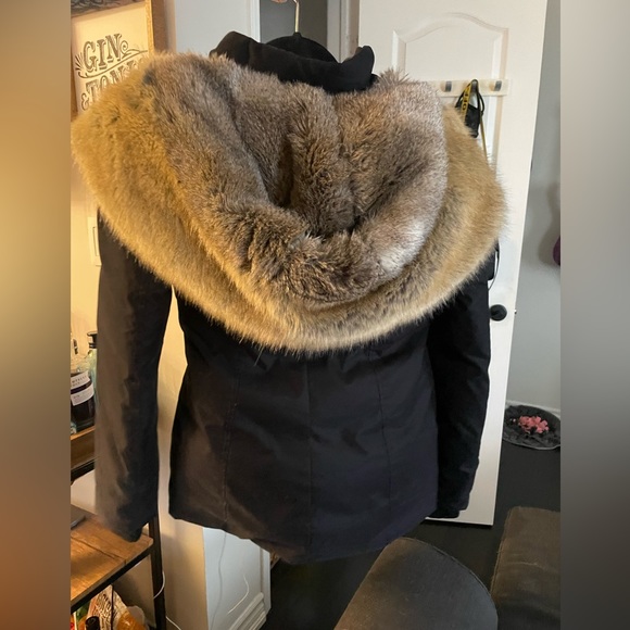 Babaton Harrison Parka - Picture 2 of 4